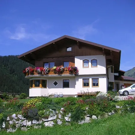 Aparthaus Birkenheim * 费尔兹姆斯