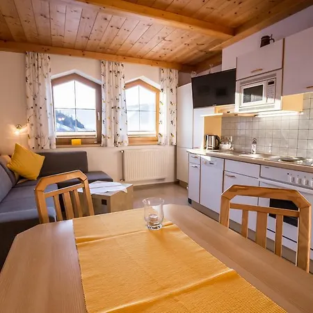 Aparthaus Birkenheim 费尔兹姆斯