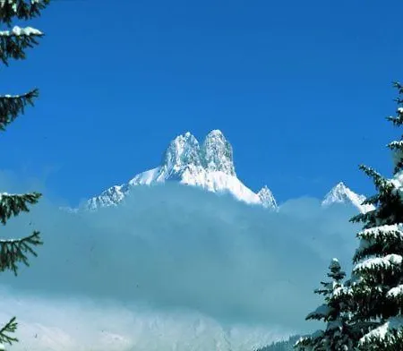 Aparthaus Birkenheim 费尔兹姆斯