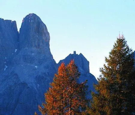 Aparthaus Birkenheim 公寓 *