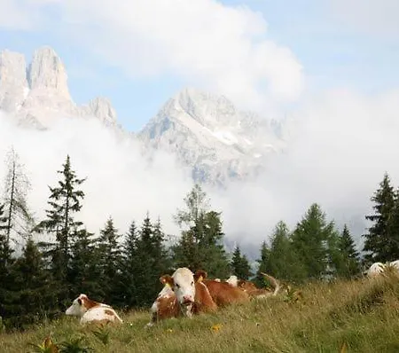 Aparthaus Birkenheim * Filzmoos