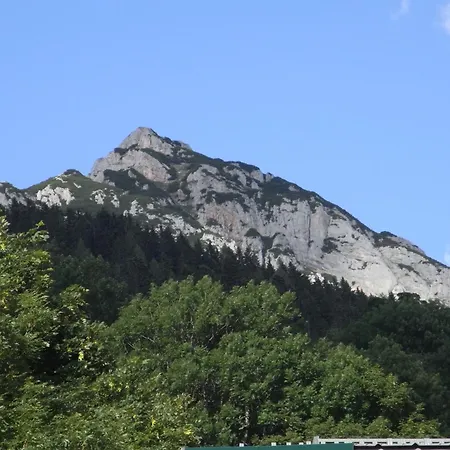 Aparthaus Birkenheim * Filzmoos