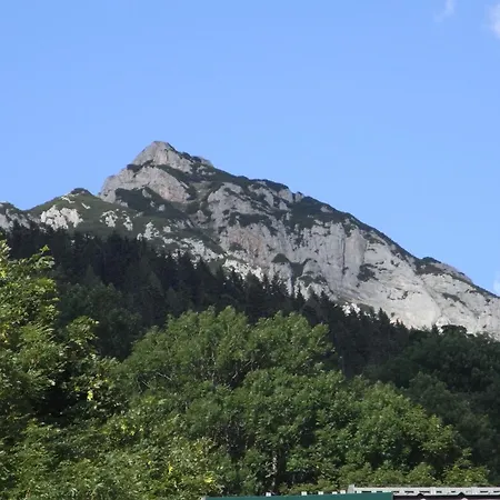 Aparthaus Birkenheim * 费尔兹姆斯