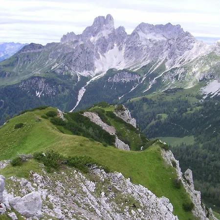 Apartment Aparthaus Birkenheim