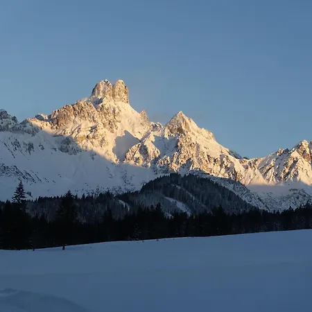 Aparthaus Birkenheim *