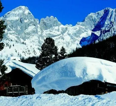 Aparthaus Birkenheim * Filzmoos