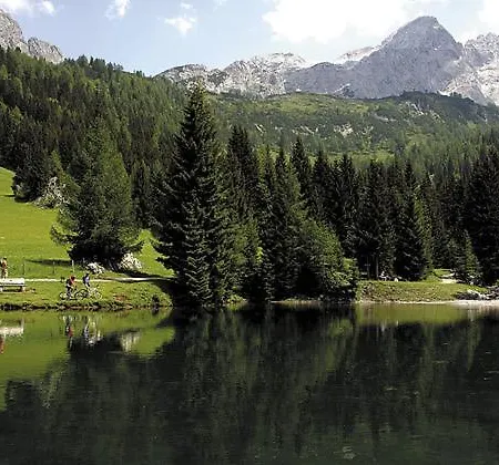 Aparthaus Birkenheim