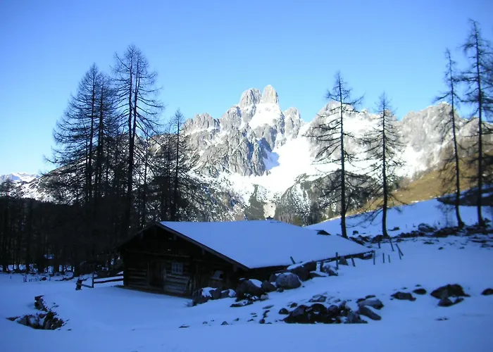 Aparthaus Birkenheim