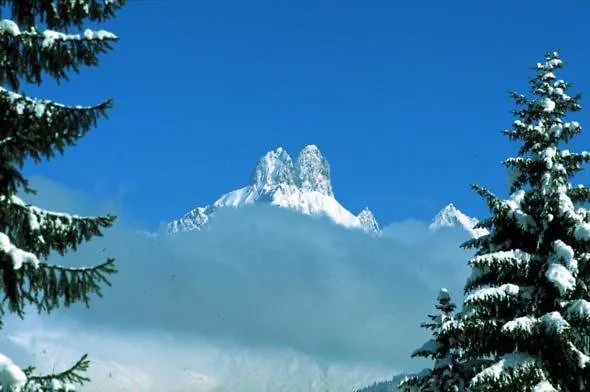 Aparthaus Birkenheim فيلزموس