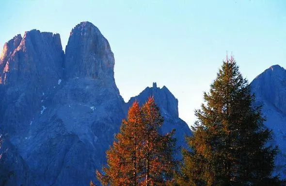 Aparthaus Birkenheim شقة *