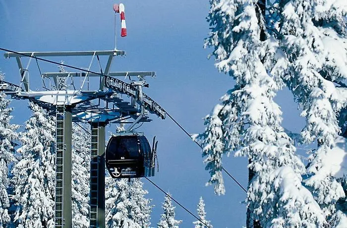 شقة Aparthaus Birkenheim