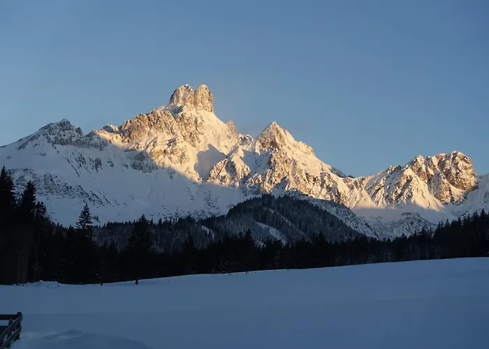 Aparthaus Birkenheim *