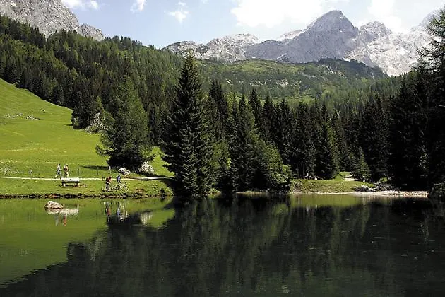 Aparthaus Birkenheim